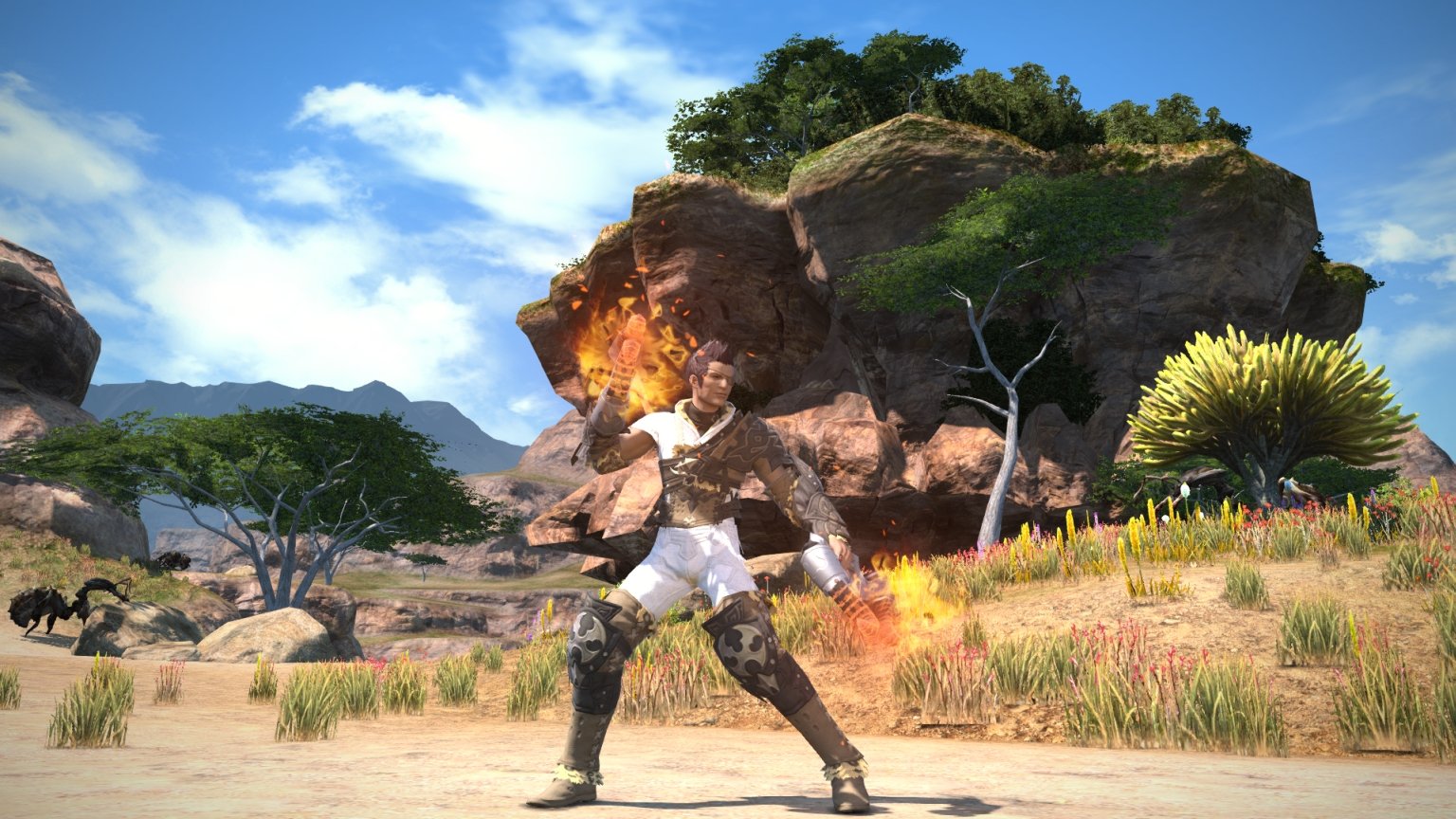 Final Fantasy XIV: A Realm Reborn (Edición Coleccionista) - Imagen 1